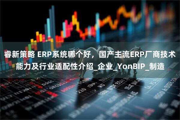 睿新策略 ERP系统哪个好，国产主流ERP厂商技术能力及行业适配性介绍_企业_YonBIP_制造