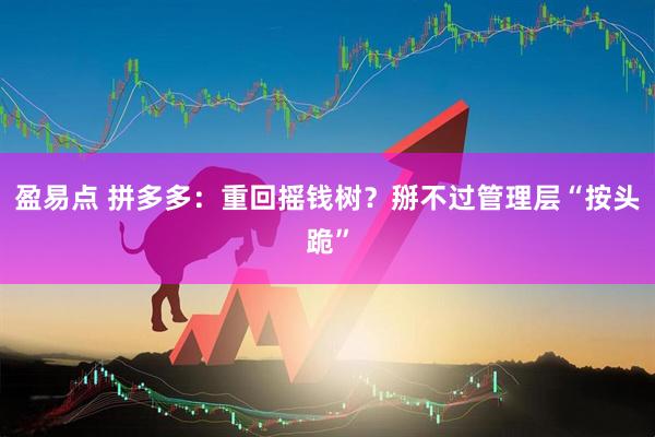 盈易点 拼多多：重回摇钱树？掰不过管理层“按头跪”